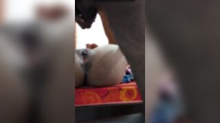 Deshi girlfriend sex with home
