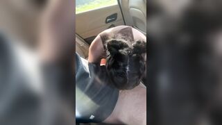 Teen Slut Gives Sloppy Blowjob in Backseat then Gets Fucked on Hood